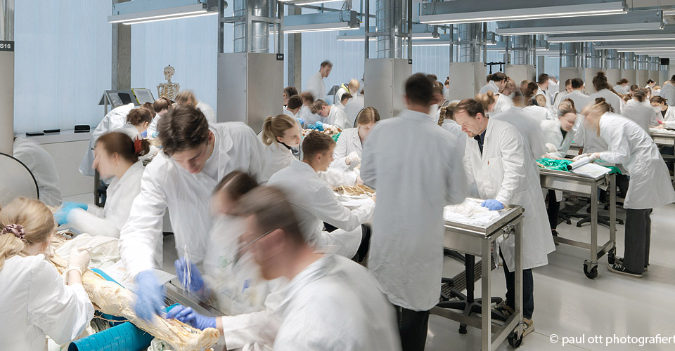 gross anatomy dissection course